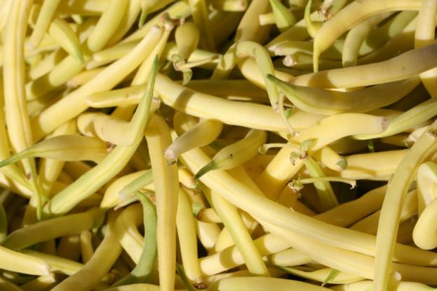 yellow wax beans