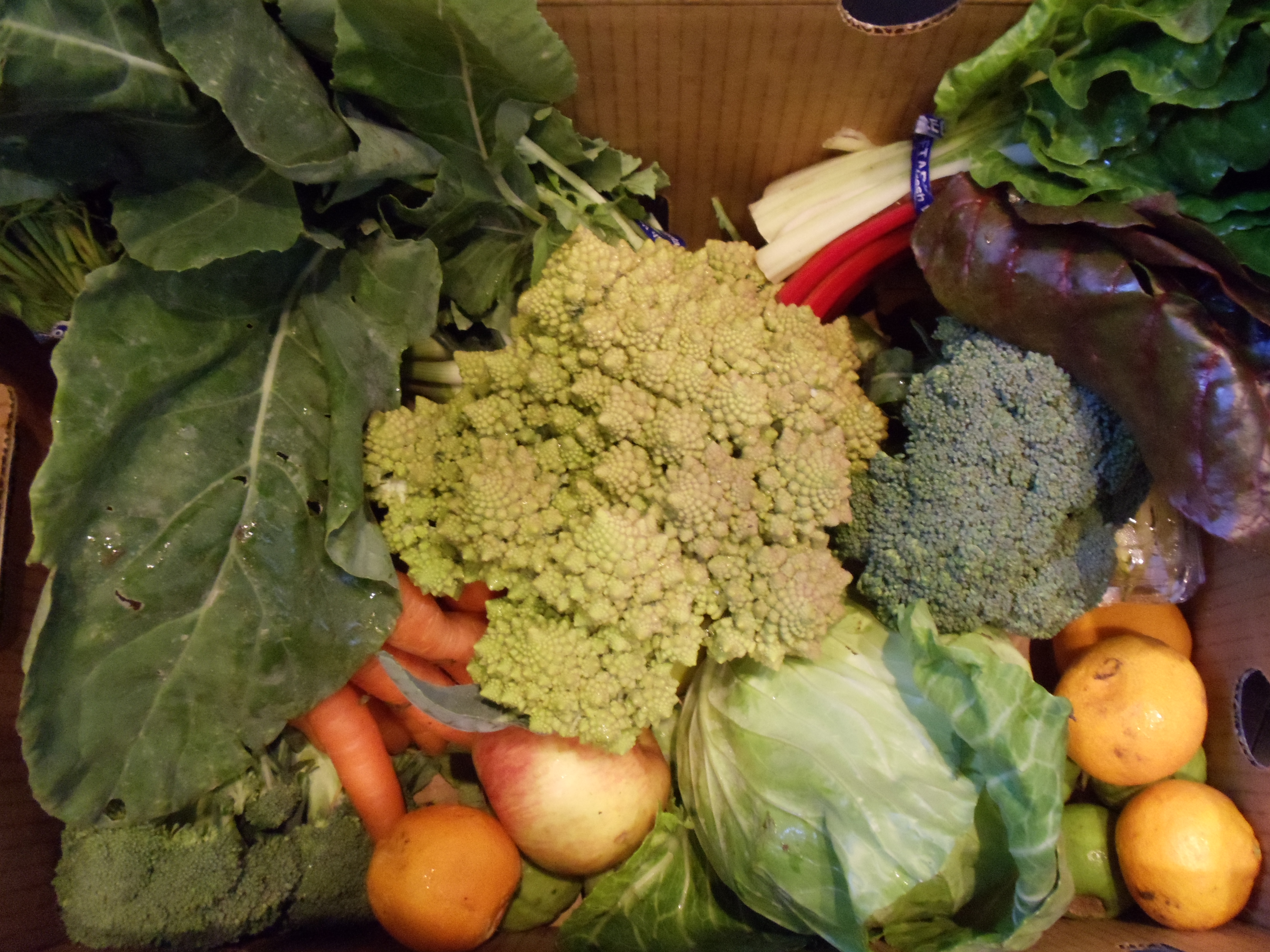 farm box day dec 6 2012