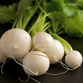 White Turnip