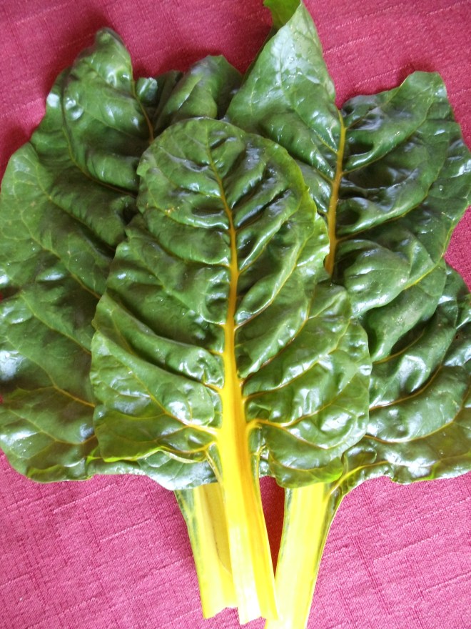 Rainbow Chard 3