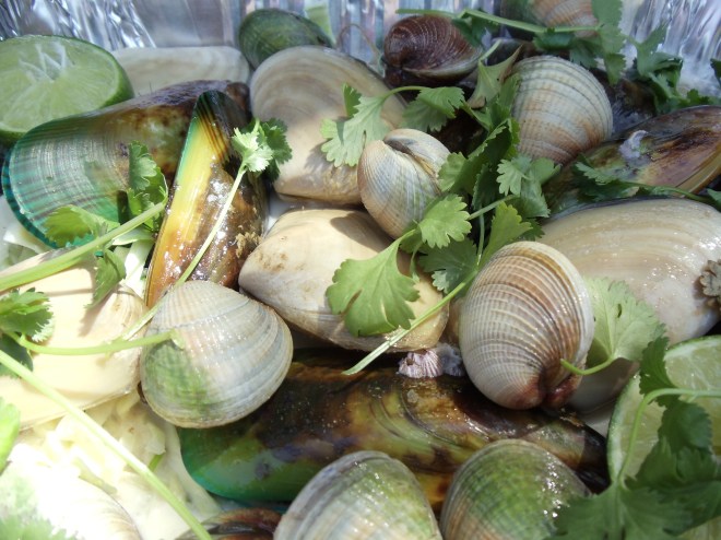 cilantro and cabbage